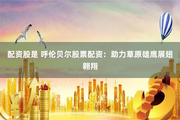 配资股是 呼伦贝尔股票配资：助力草原雄鹰展翅翱翔